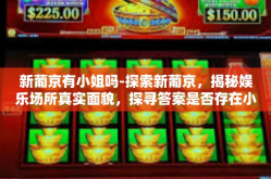新葡京有小姐吗-探索新葡京，揭秘娱乐场所真实面貌，探寻答案是否存在小姐-新葡京有小姐吗