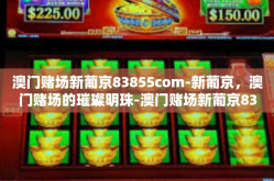 澳门赌场新葡京83855com-新葡京，澳门赌场的璀璨明珠-澳门赌场新葡京83855com
