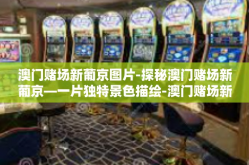 澳门赌场新葡京图片-探秘澳门赌场新葡京—一片独特景色描绘-澳门赌场新葡京图片