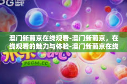 澳门新葡京在线观看-澳门新葡京，在线观看的魅力与体验-澳门新葡京在线观看