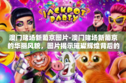 澳门赌场新葡京图片-澳门赌场新葡京的华丽风貌，图片揭示璀璨辉煌背后的故事-澳门赌场新葡京图片