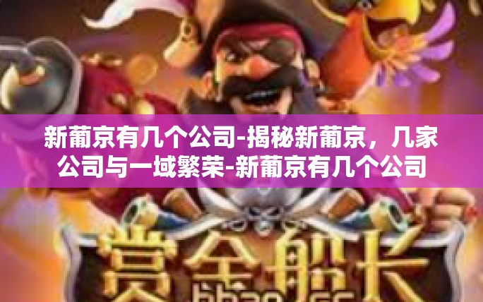 新葡京有几个公司-揭秘新葡京，几家公司与一域繁荣-新葡京有几个公司